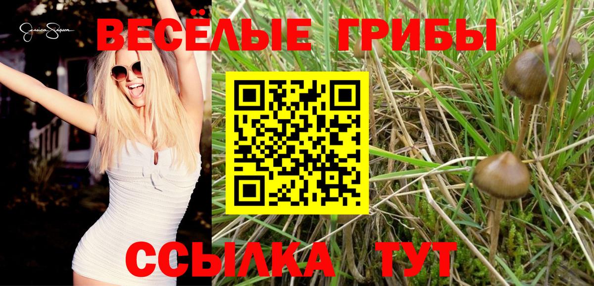 Галлюциногенные грибы Psilocybe Алапаевск