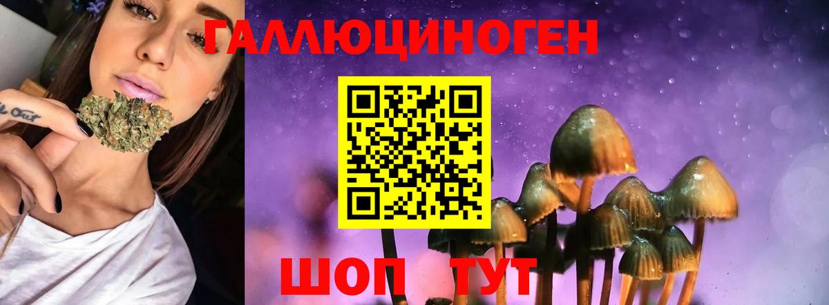 Галлюциногенные грибы GOLDEN TEACHER  Вход с VPN  Алапаевск  Галлюциногенные грибы Magic Shrooms 